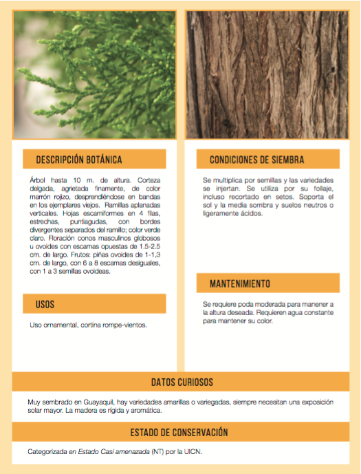 Captura de pantalla 2016-07-23 a las 11.17.33 p.m.