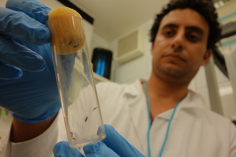 image-20160420-25634-1e0x116