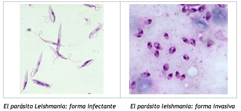 Captura de pantalla 2016-08-13 a las 11.08.51 a.m.